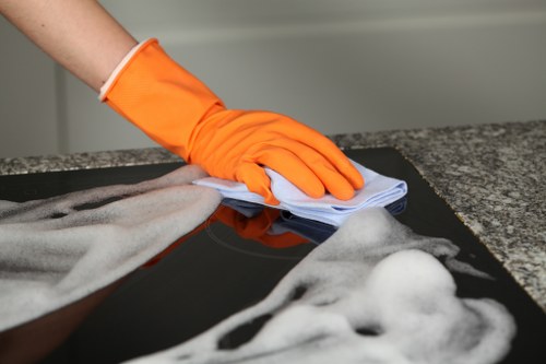 Professional carpet cleaners using careful working methods in a home