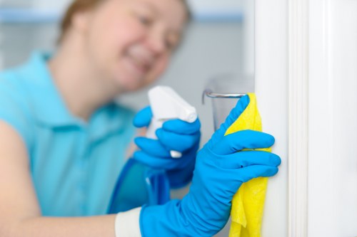 Deep upholstery cleaning process for a family sofa