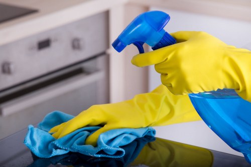 Professional carpet cleaning introduction at Coney Hall Carpet Cleaners