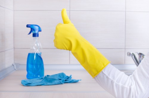 Stain removal services for carpets and upholstery in Coney Hall