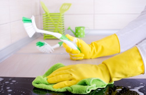 Deep carpet cleaning process showing fiber restoration