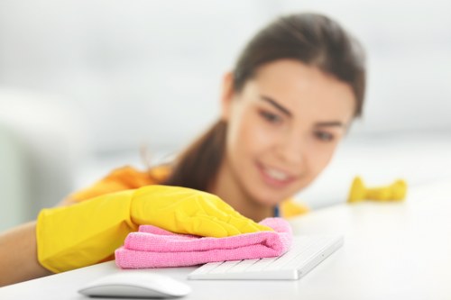 Upholstery cleaning and stain treatment in Coney Hall