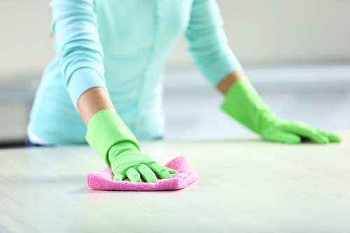 Carpet cleaner evaluating service issue carefully