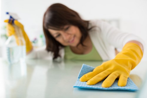 Cleaner assessing carpet fibres before treatment